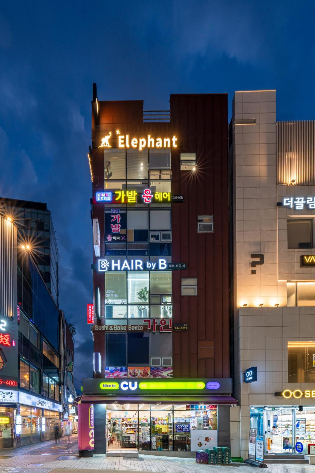 Elephant Puszan Kültér fotó